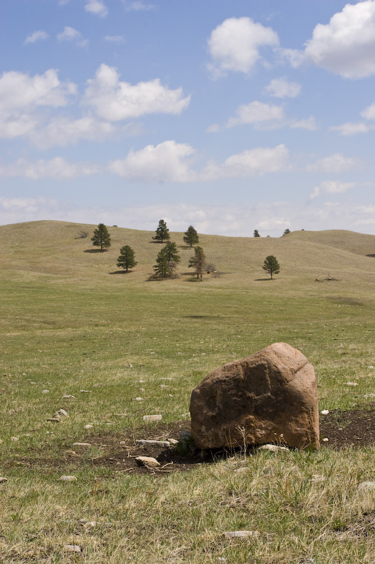Rock And Trees On Prairie